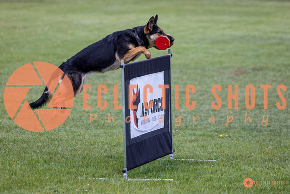 2025-K9Force-MayExams-6171