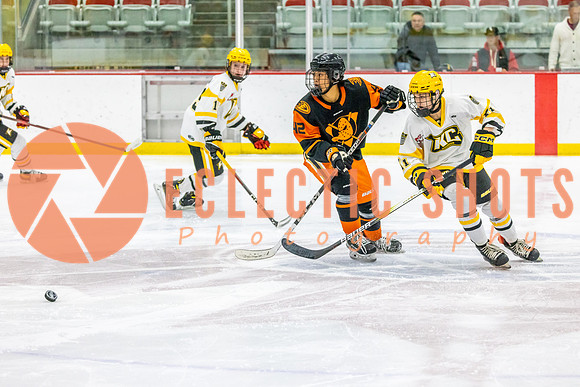 2023-11.08-KCSquires-AnaheimJrDucks-0051