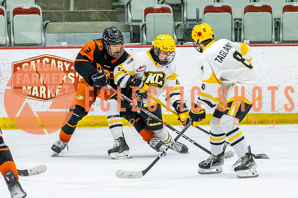 2023-11.08-KCSquires-AnaheimJrDucks-0209