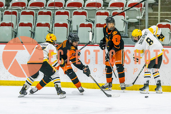 2023-11.08-KCSquires-AnaheimJrDucks-0281