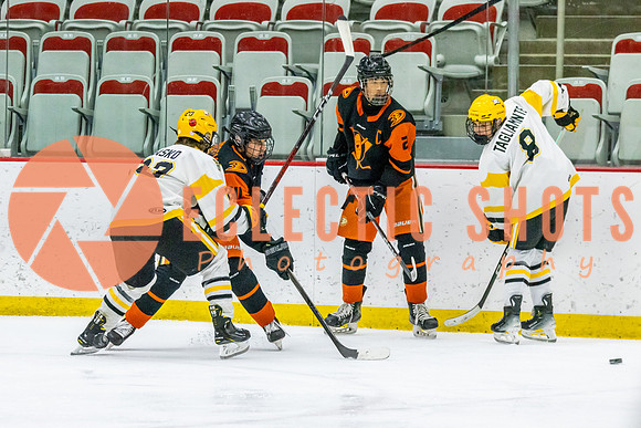 2023-11.08-KCSquires-AnaheimJrDucks-0283