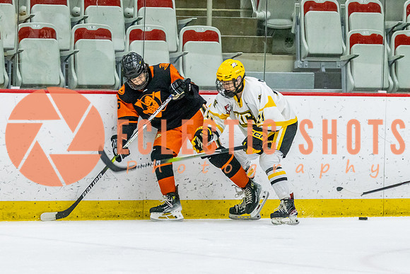 2023-11.08-KCSquires-AnaheimJrDucks-0336