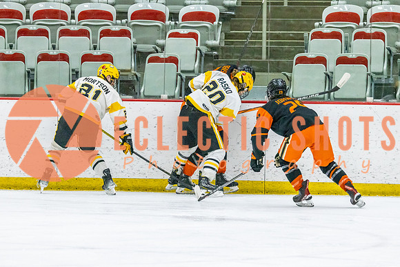 2023-11.08-KCSquires-AnaheimJrDucks-0346