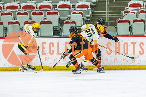 2023-11.08-KCSquires-AnaheimJrDucks-0349