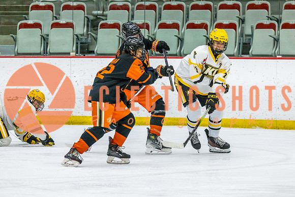 2023-11.08-KCSquires-AnaheimJrDucks-0385