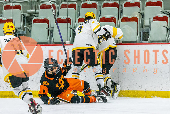 2023-11.08-KCSquires-AnaheimJrDucks-0422
