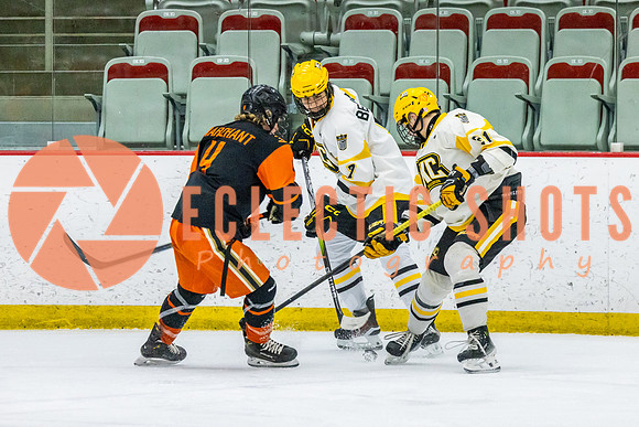2023-11.08-KCSquires-AnaheimJrDucks-0586