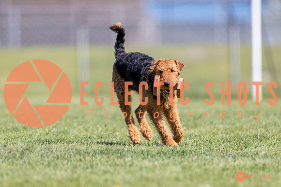 2025-K9Force-MayExams-8341