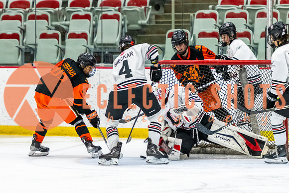 2023.11.12-Bronze-OHAEdm-Anaheim-6343