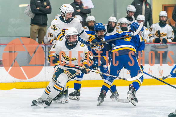 2023.11.09-St.AlbertSabres-Royals-03917