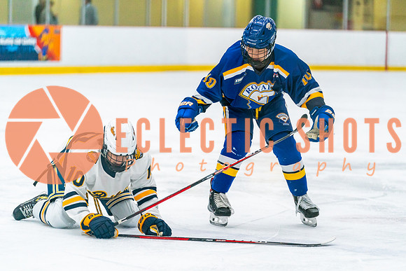 2023.11.09-St.AlbertSabres-Royals-03980
