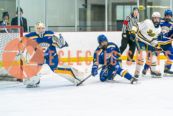 2023.11.09-St.AlbertSabres-Royals-03995