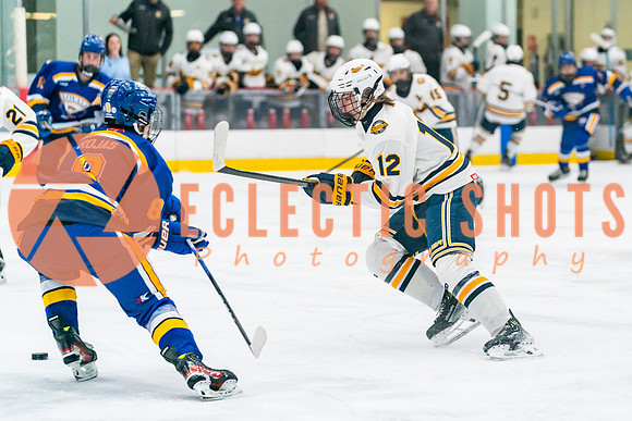 2023.11.09-St.AlbertSabres-Royals-04025