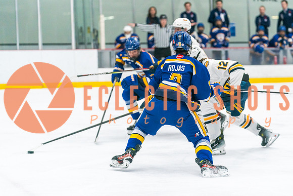 2023.11.09-St.AlbertSabres-Royals-04026