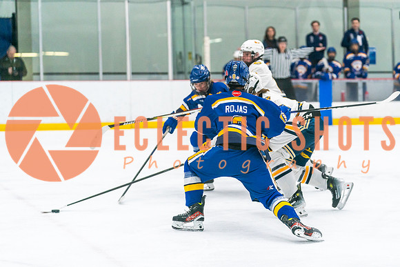 2023.11.09-St.AlbertSabres-Royals-04027