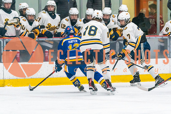 2023.11.09-St.AlbertSabres-Royals-04067
