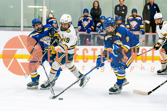 2023.11.09-St.AlbertSabres-Royals-04131