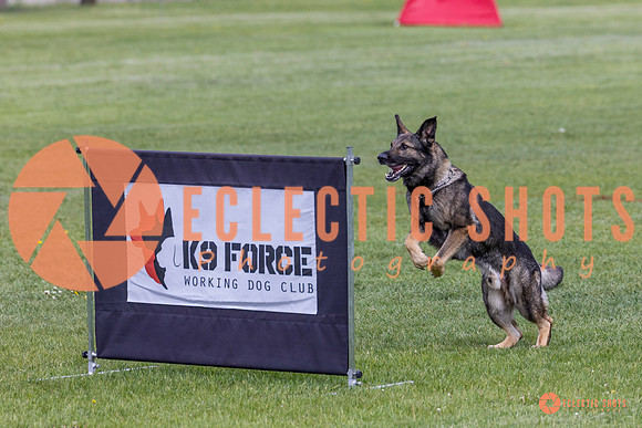 2025-K9Force-MayExams-5818