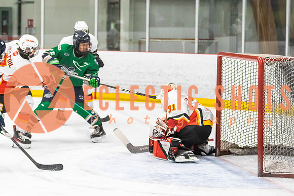 2022.11.09CalFlames-FVTBirds-0265