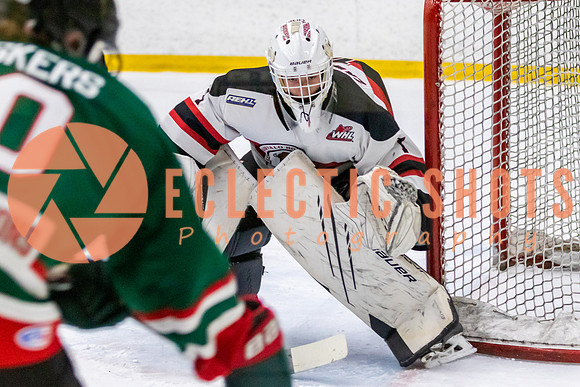 2023.11.12-SSAC-Bisons-2469