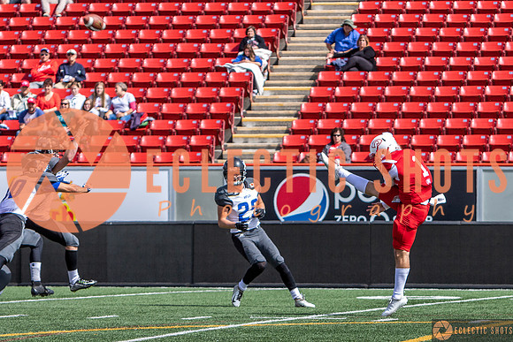 2019CalgaryColts-0310