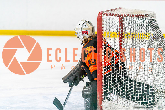 2023.11.12-Bronze-OHAEdm-AnaheimJrDucks-01297
