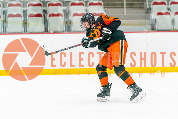 2023.11.12-Bronze-OHAEdm-AnaheimJrDucks-01563