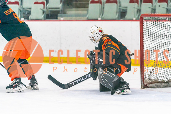 2023.11.12-Bronze-OHAEdm-AnaheimJrDucks-01641