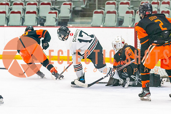 2023.11.12-Bronze-OHAEdm-AnaheimJrDucks-01669