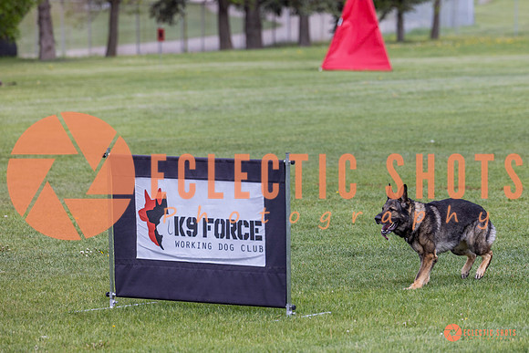 2025-K9Force-MayExams-5815