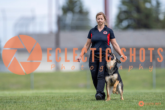2025-K9Force-MayExams-6988