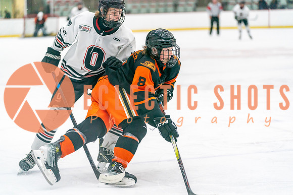 2023.11.12-Bronze-OHAEdm-AnaheimJRDucks-02018