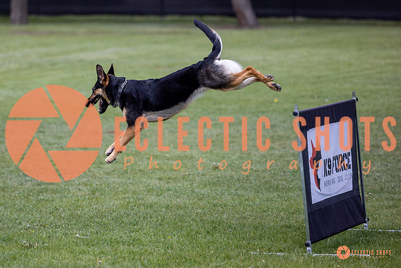 2025-K9Force-MayExams-6159