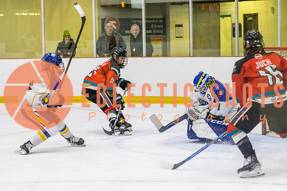 2022.11.10CalRoyals-OKRockets-1519