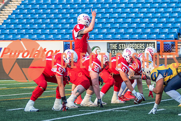 CalgaryColts-2504