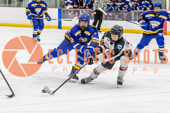 2023.11.11-VWGiants-Royals-8629