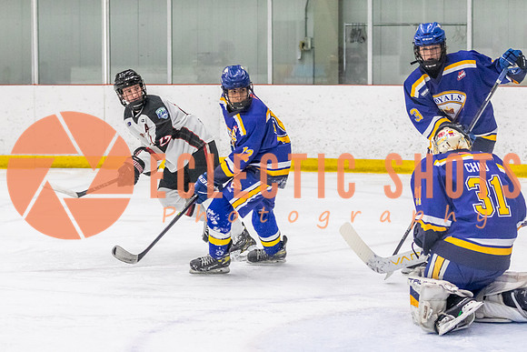2023.11.11-VWGiants-Royals-8953