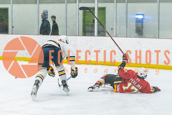 2023.11.10-St.AlbertSabres-Flames-3819
