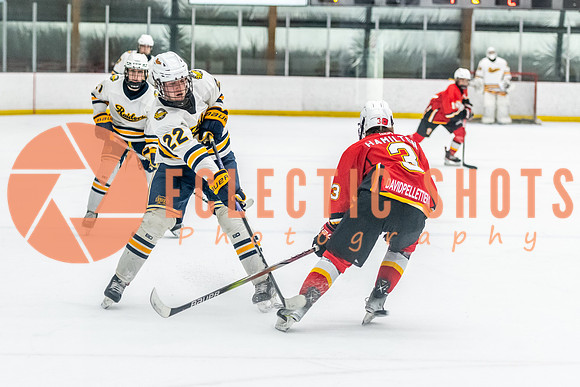 2023.11.10-St.AlbertSabres-Flames-4104