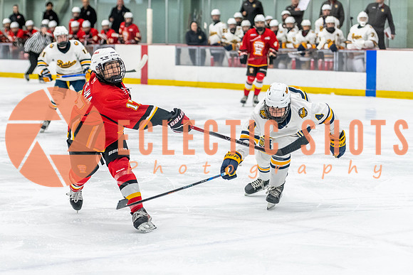 2023.11.10-St.AlbertSabres-Flames-4132