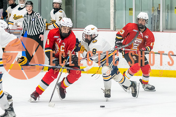 2023.11.10-St.AlbertSabres-Flames-4178