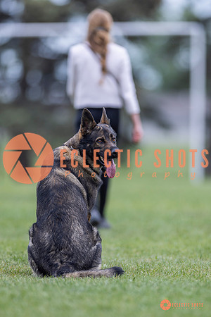 2025-K9Force-MayExams-5976