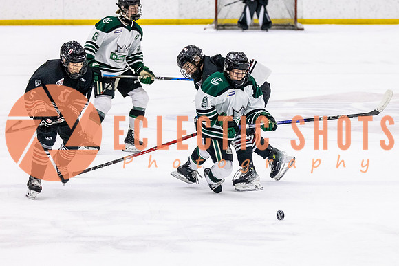 2023.11.10-ShPkFlyers-OHAEdm-5847