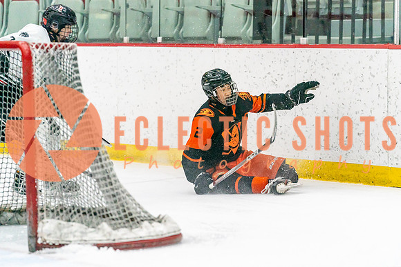 2023.11.12-Bronze-OHAEdm-AnaheimJrDucks-02424