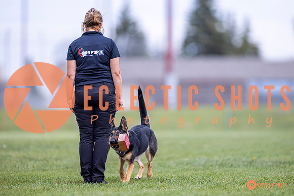 2025-K9Force-MayExams-7106