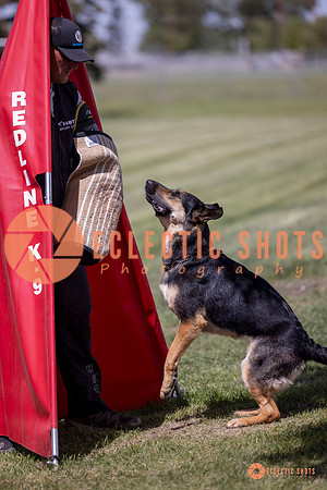 2025-K9Force-MayExams-7176