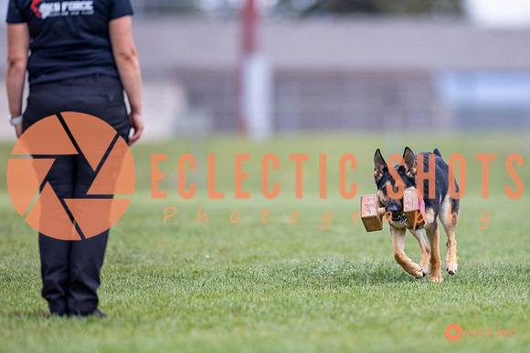 2025-K9Force-MayExams-7082