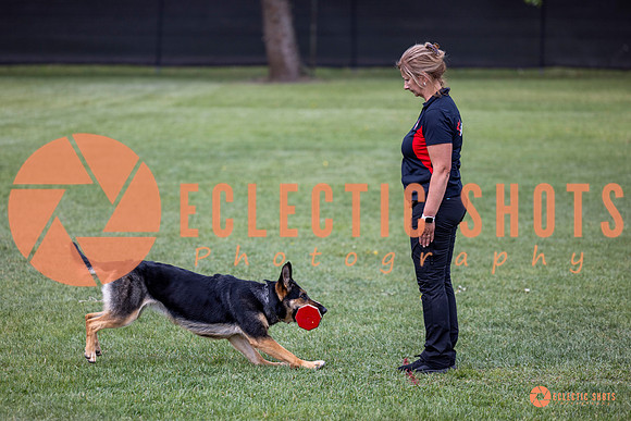 2025-K9Force-MayExams-6188