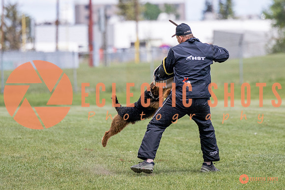 2025-K9Force-MayExams-7844