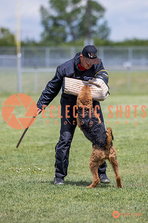 2025-K9Force-MayExams-7826